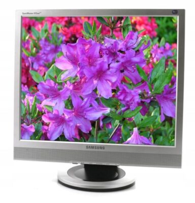 Monitor LCD Samsung SyncMaster 913BM 19 " 1280 x 1024 px TN